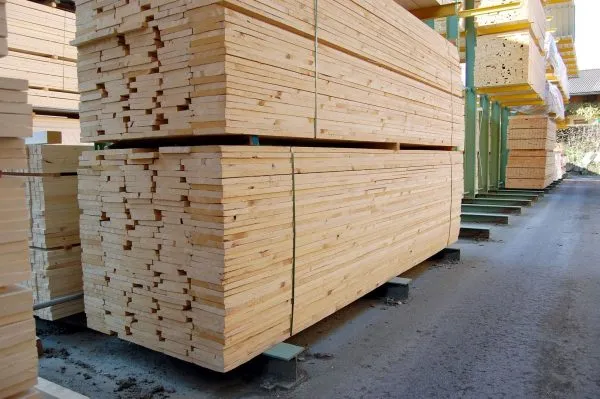 AFRICA TALI WOOD LOGS - Image 4