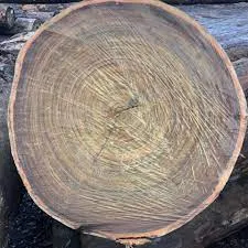 AFRICA TALI WOOD LOGS - Image 6