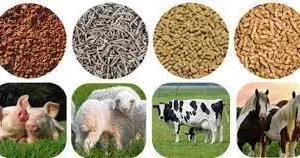 Alternative view of ANIMAL FEED WHOLESALE