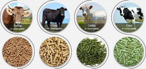 ANIMAL FEED WHOLESALE - Image 3