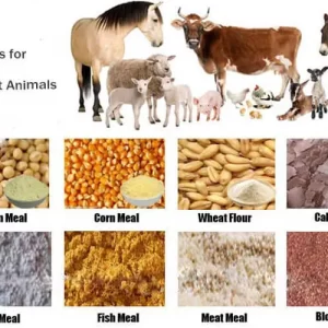 ANIMAL FEED WHOLESALE