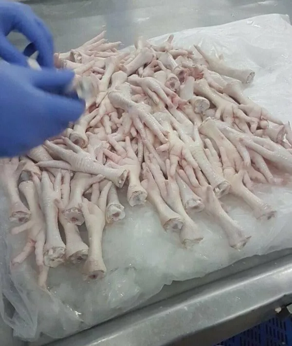 BRAZILIAN FROZEN CHICKEN FEET & PAWS HALAL CERTIFIED - Image 3