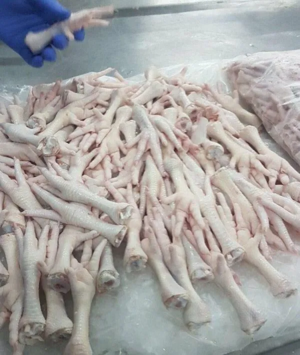 BRAZILIAN FROZEN CHICKEN FEET & PAWS HALAL CERTIFIED - Image 4