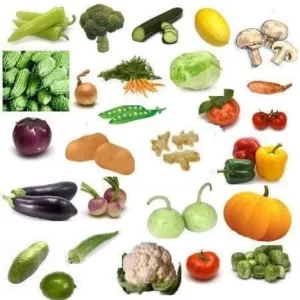FRESH VEGETABLES 100% ORGANIC