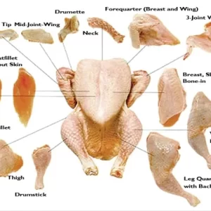 HALAL FROZEN CHICKEN PARTS