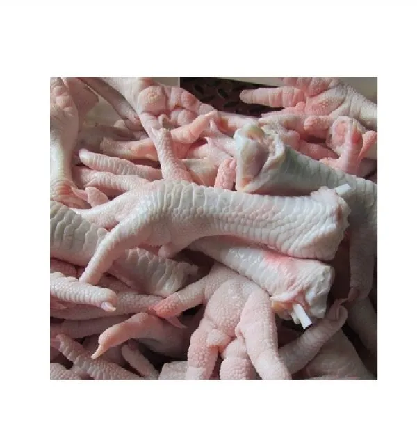 HALAL FROZEN CHICKEN PARTS - Image 5