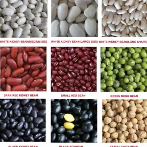 KIDNEY BEANS WHOLESALE