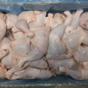 Alternative view of HALAL FROZEN CHICKEN PARTS