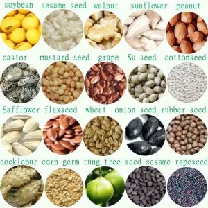 OIL SEED