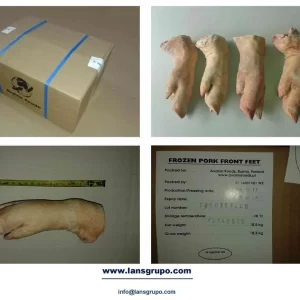 FROZEN PORK MEAT SUPPLIERS